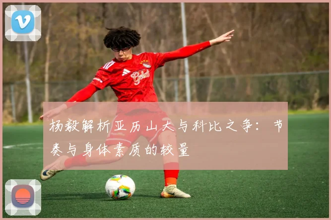 杨毅解析亚历山大与科比之争：节奏与身体素质的较量